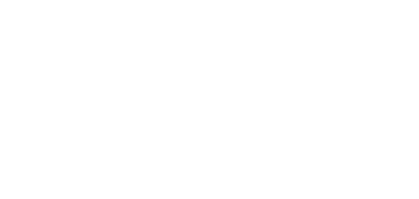Insurance Canopy